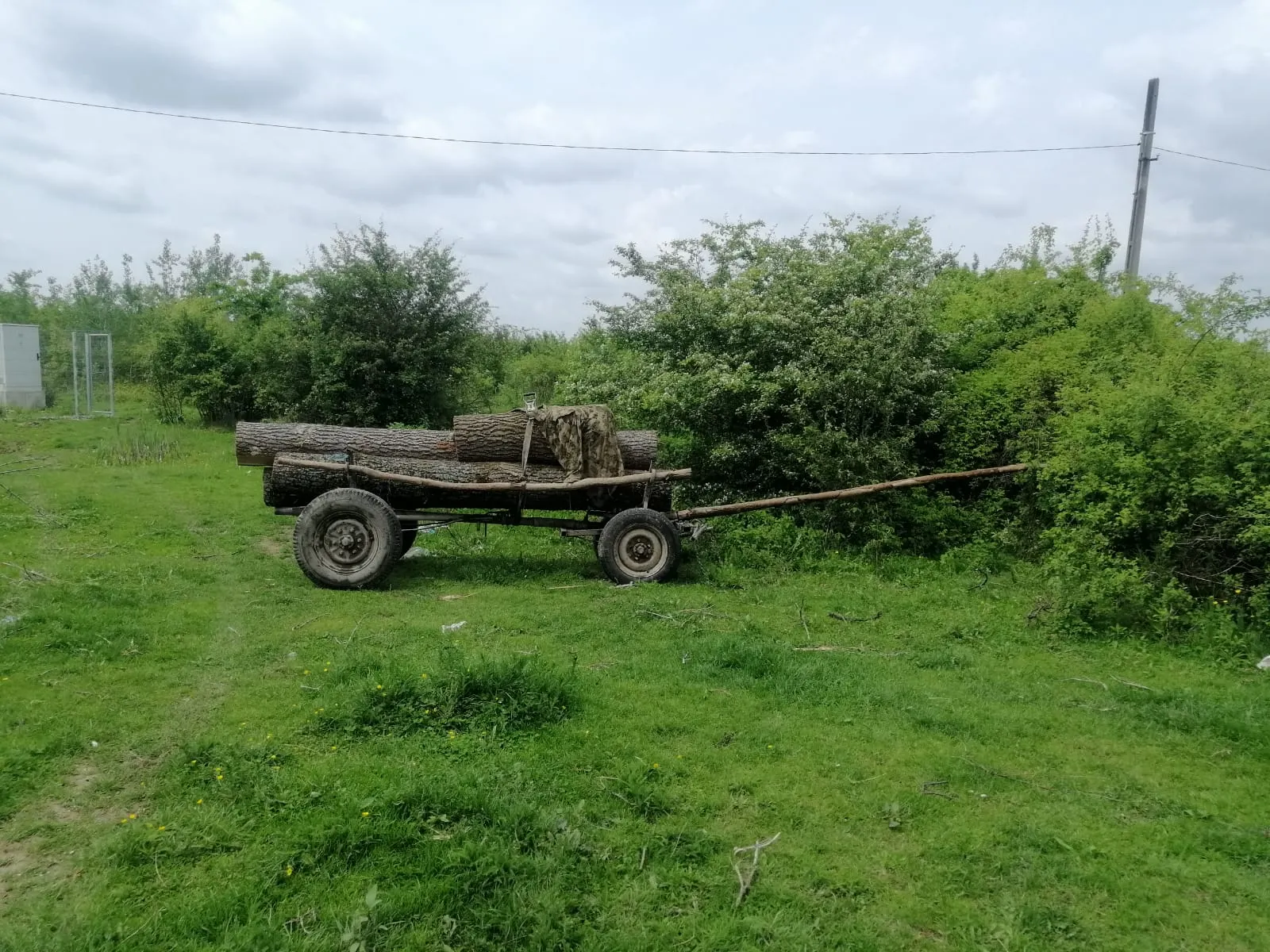 IMG-20190517-WA0001