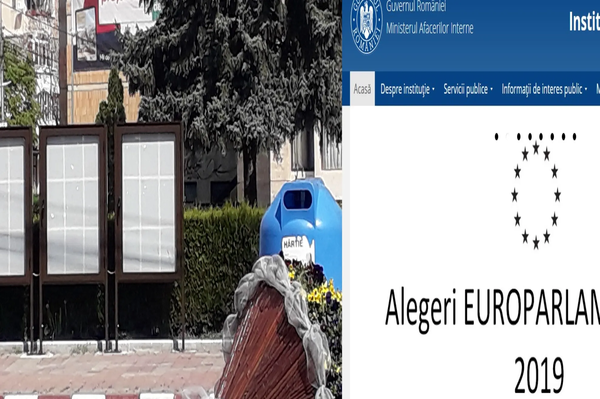 articol alegeri
