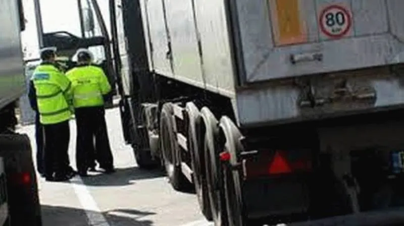 truck and bus 2