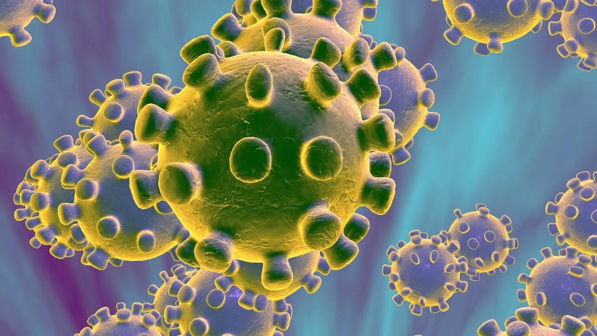 coronavirus (1)