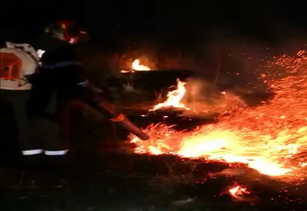 Video-Puternic incendiu de vegetație lângă Târgoviște