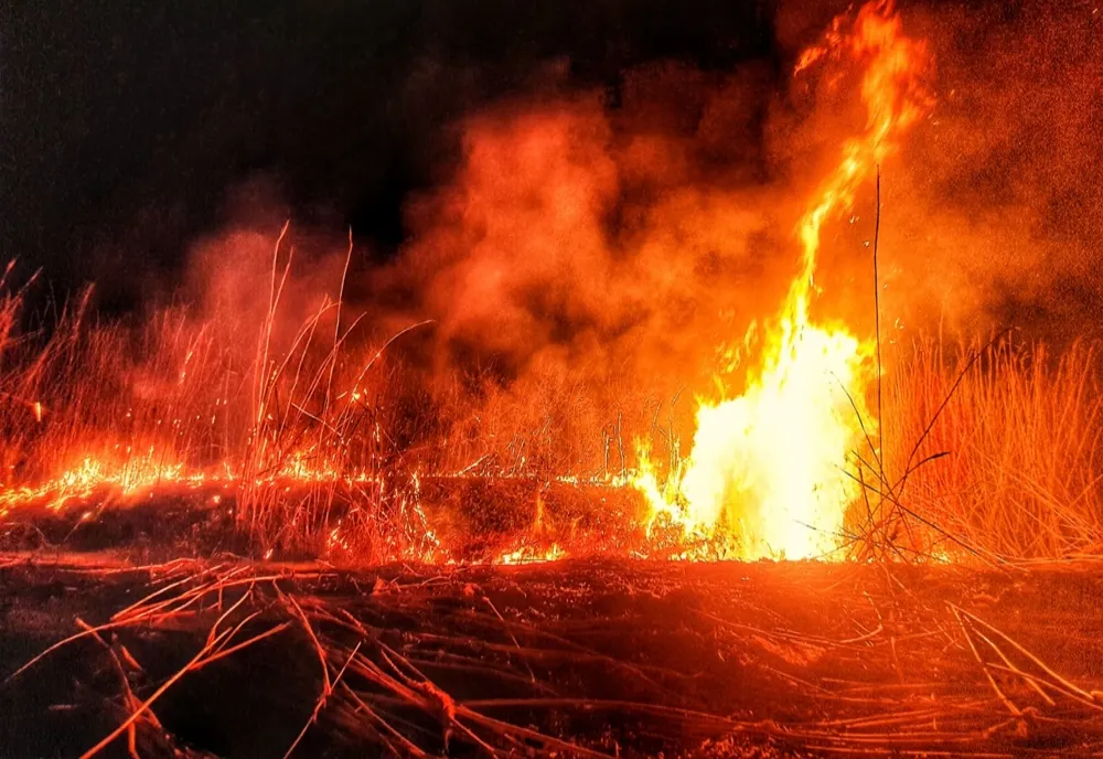 Foto | Semnal de alarmă de la ISU Dâmbovița. Incendii de vegetație ce riscă să nu poată fi stăpânite