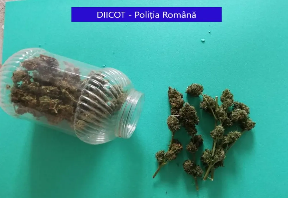 Percheziții la traficanții de droguri din Dâmbovița