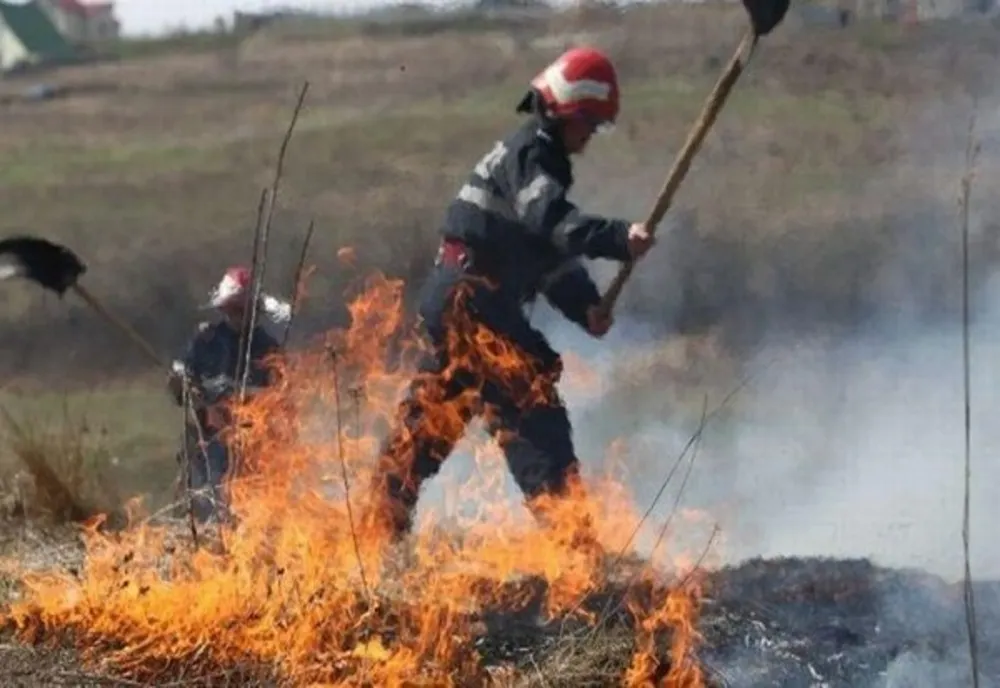 Un incendiu de vegetație a izbucnit la marginea Autostrăzii A1. Pentru lichidarea acestuia au intervenit pompierii din Găești