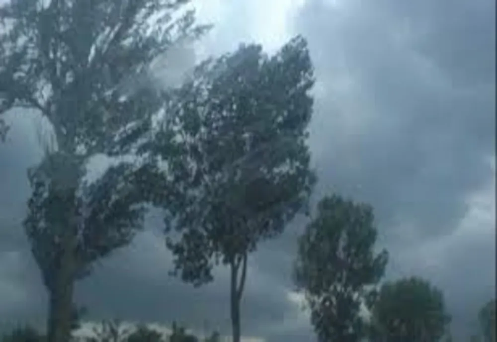 Localităţi din judeţele Prahova şi Dâmboviţa, sub cod galben de vânt puternic