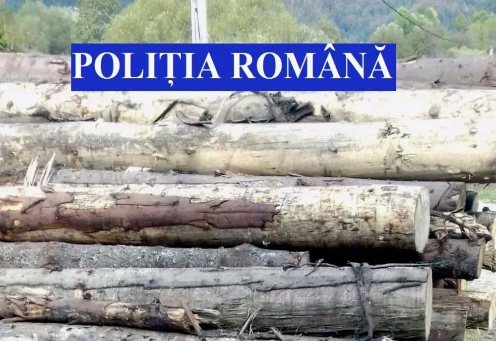 Dâmboviţa. Doi bărbați, cercetați de polițiști pentru tăiere și sustragere ilegală de material lemnos