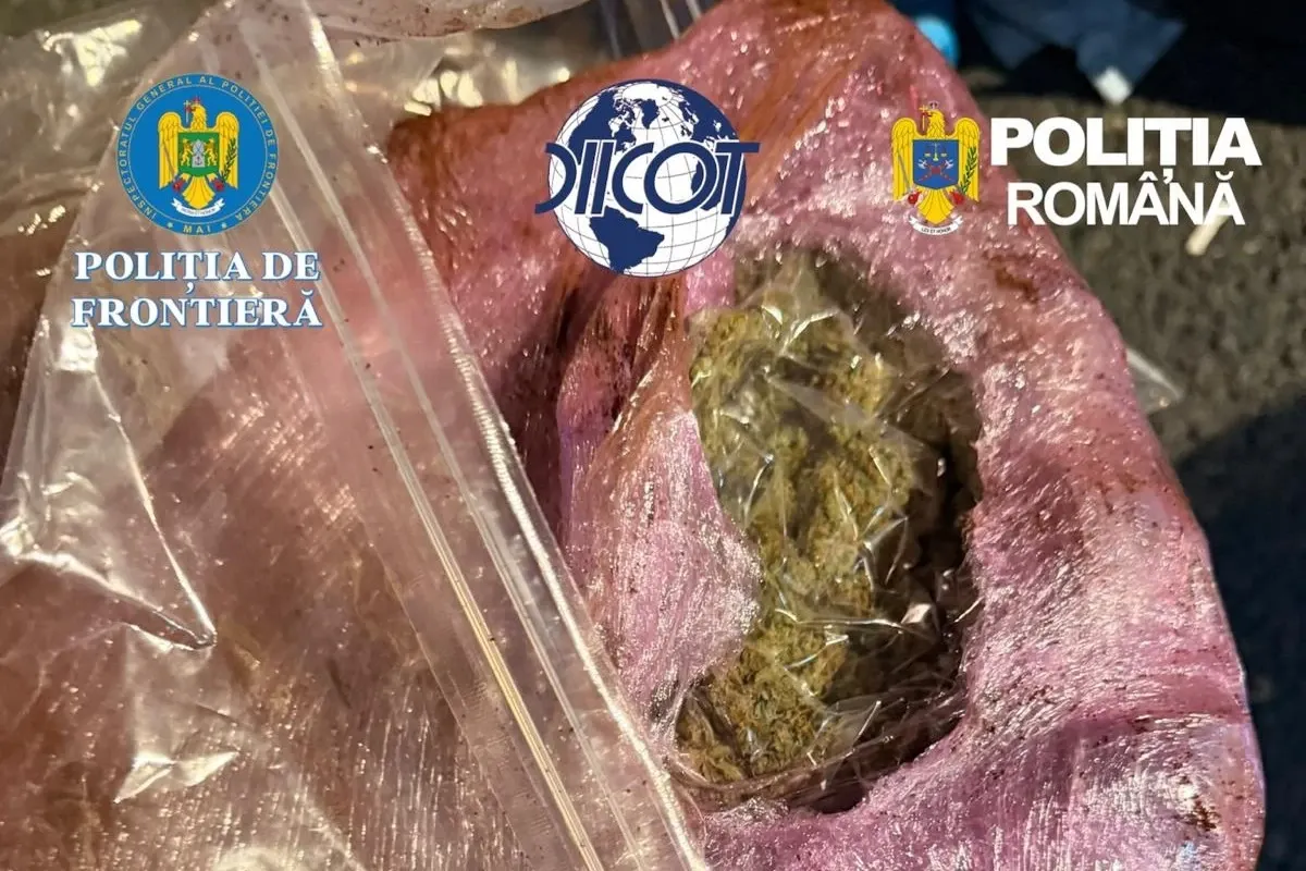 Droguri