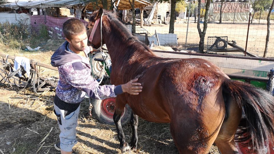 43138836_1064386587067452_785309300917534720_n