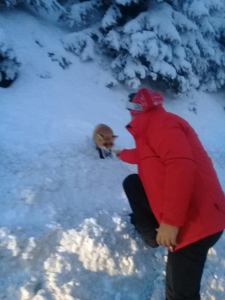 48421707_2837094489674126_5856155609941934080_n