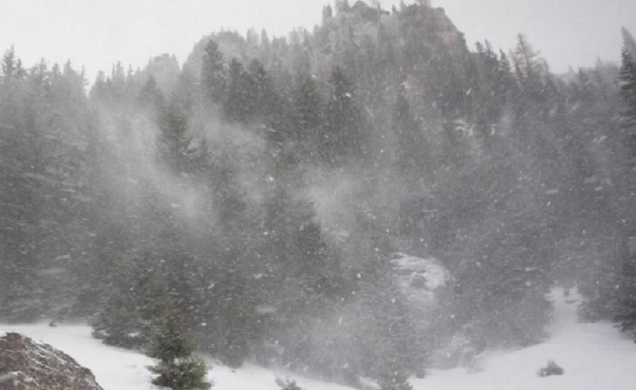 ninsori-munte-anm-prognoza_3e823