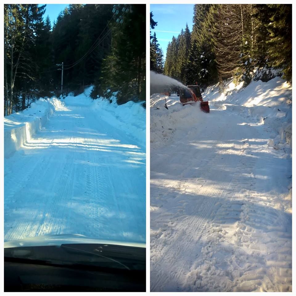 poza drum asociatia turistica padina pestera
