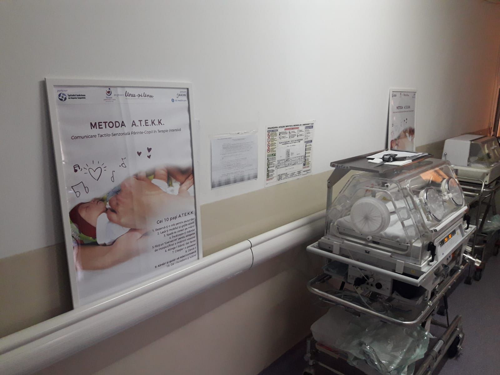 59988652_355980535050536_4086338915999416320_o