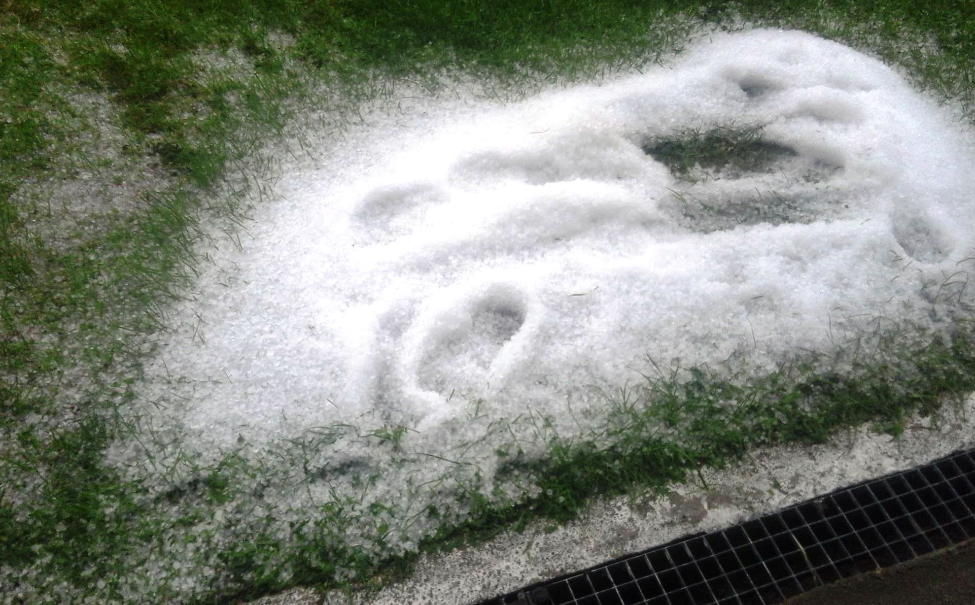 61503000_1566675893465651_5385240105524920320_n