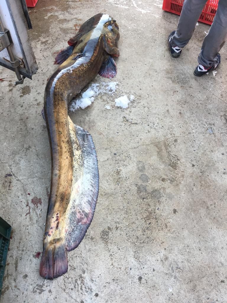 78718795-2c03-4569-8fb9-20a5ac4ec7e2