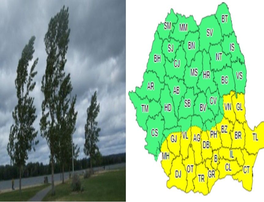 articol cod galben vant