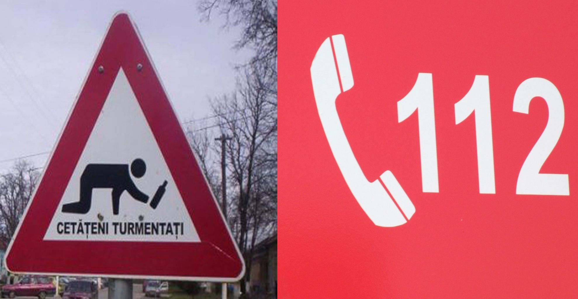 cetatean beat articol