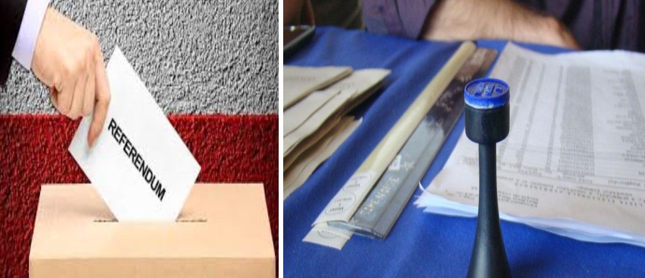 referendum articol