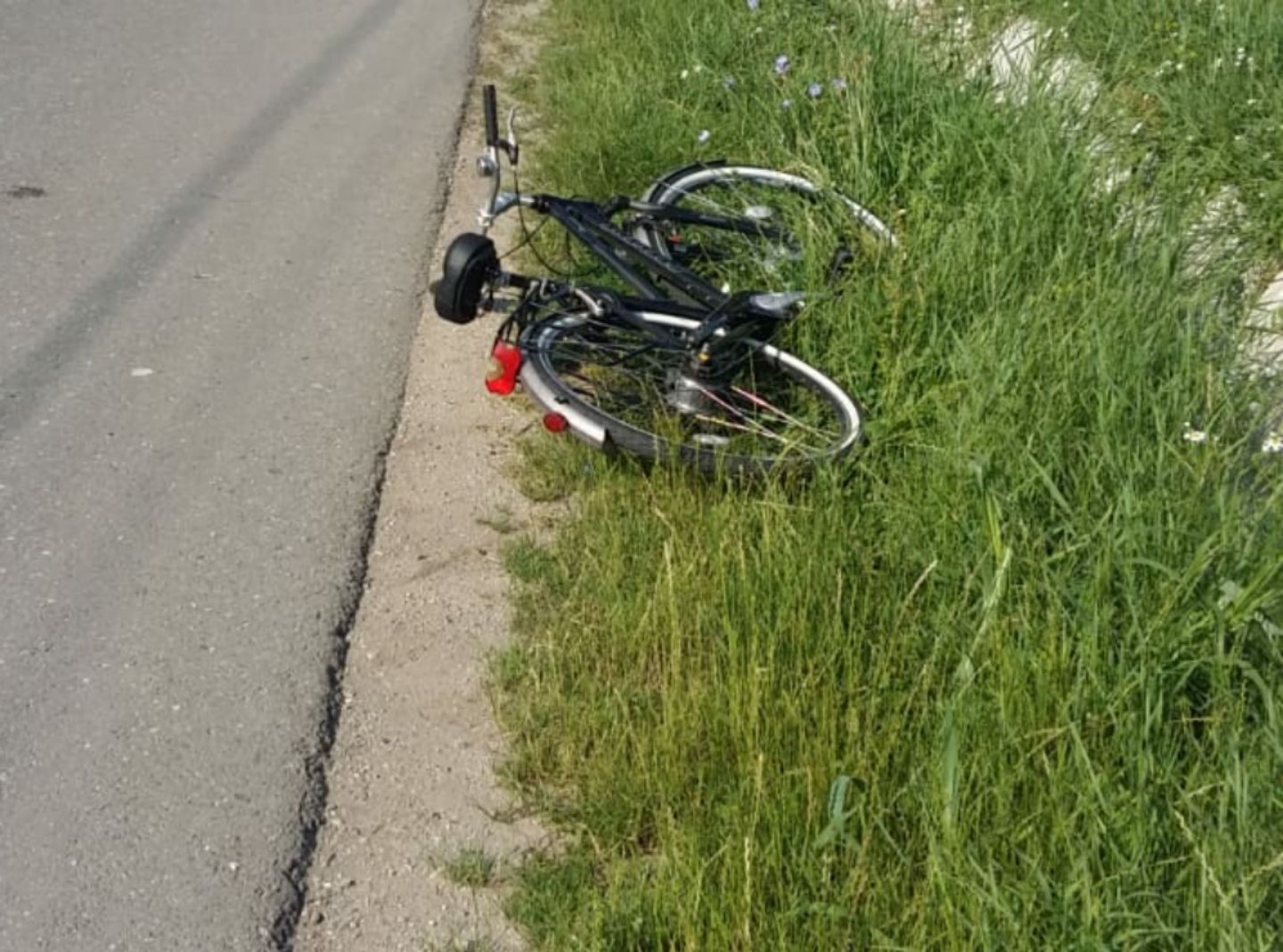 44fa39a8-b74e-4fb7-95cc-f0a881689258