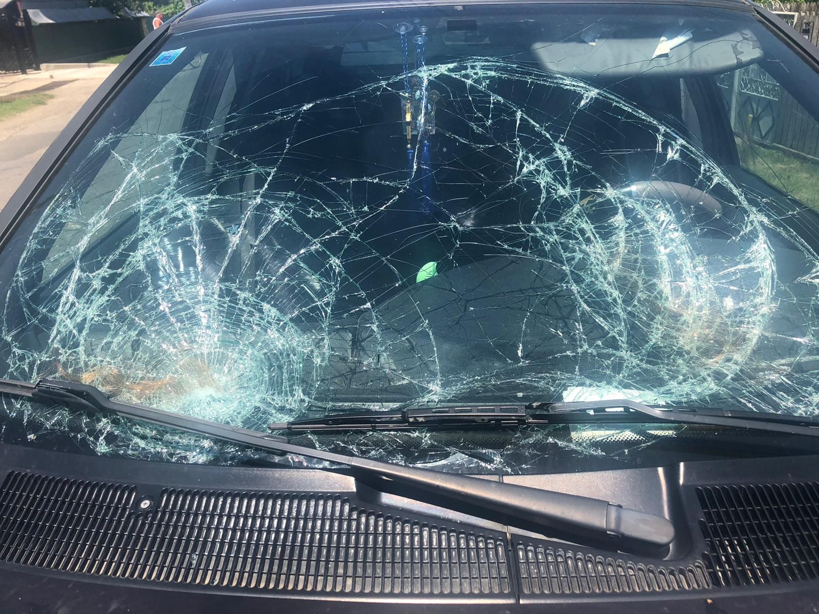 4b6beb4b-7c2b-421a-996c-c359d42be247