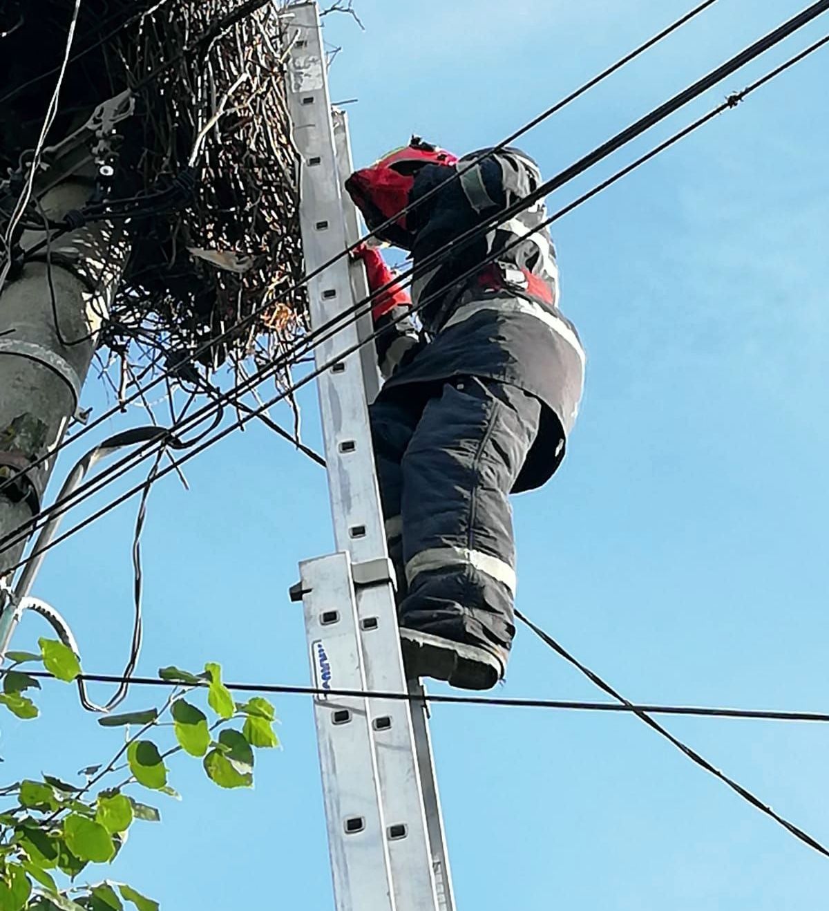 8fae1e00-840c-4ff0-9189-d19a4aaf787e