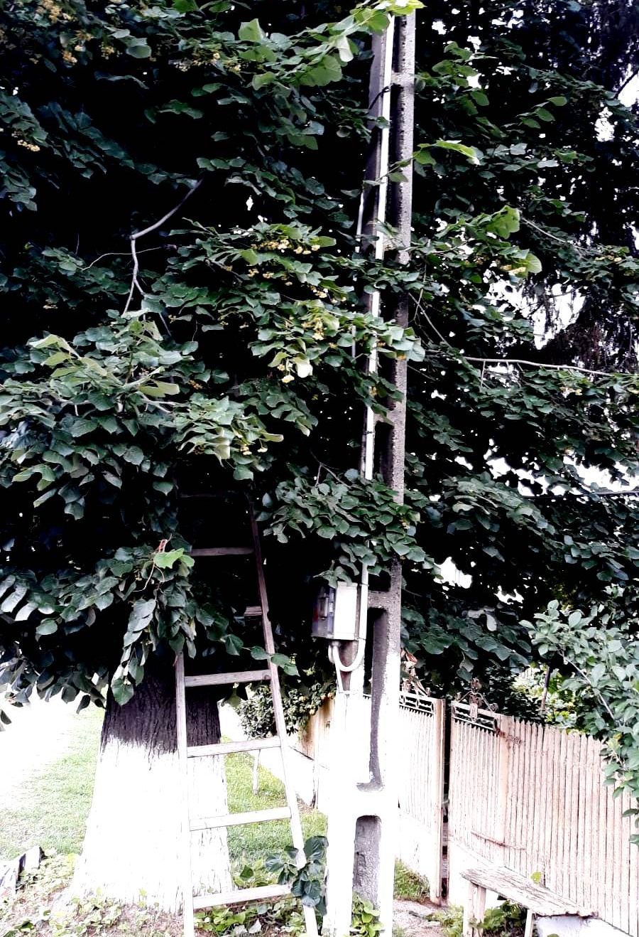 edfa353c-1109-42ac-8b14-52b6ee6ae724