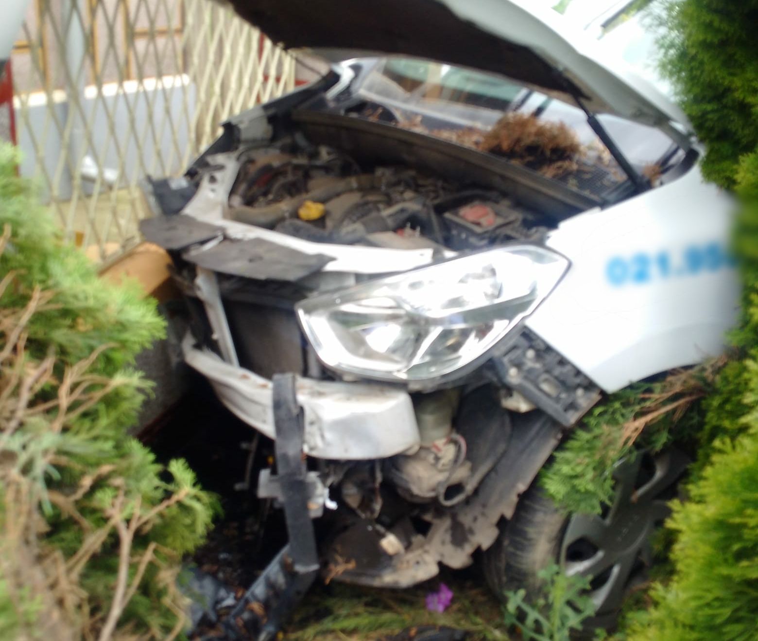 259715d5-d85b-41b7-92e0-5071a62c46f1