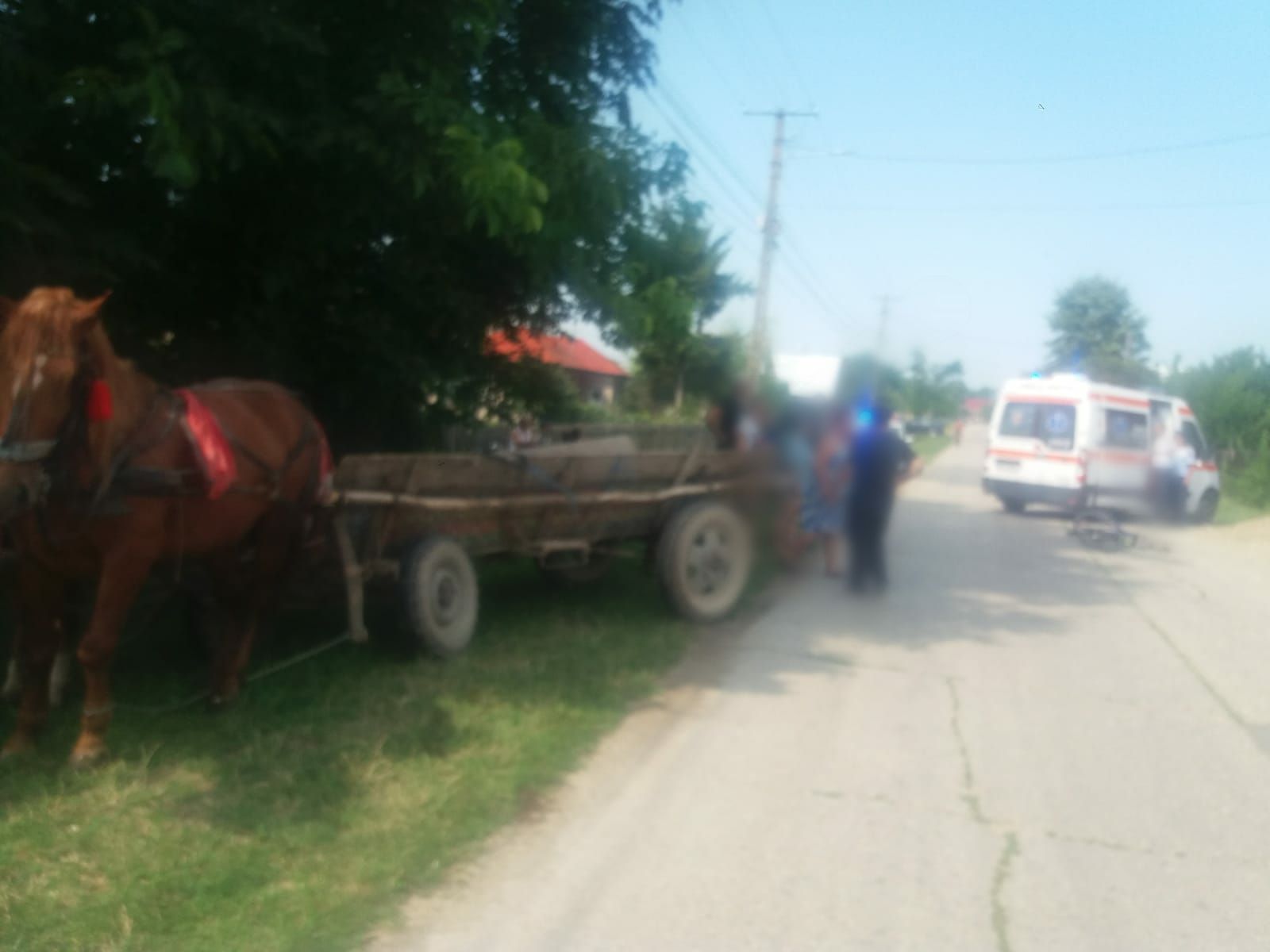 cee6f309-daaf-44a3-981c-4a0fcc3dc07b