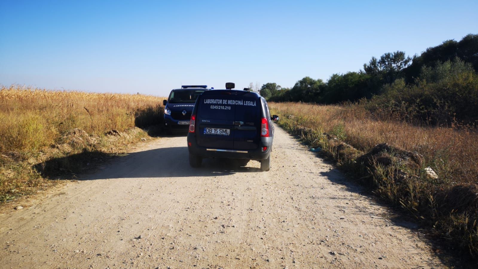 21b8c0e5-12ac-4275-ba4d-58d2703d69c4