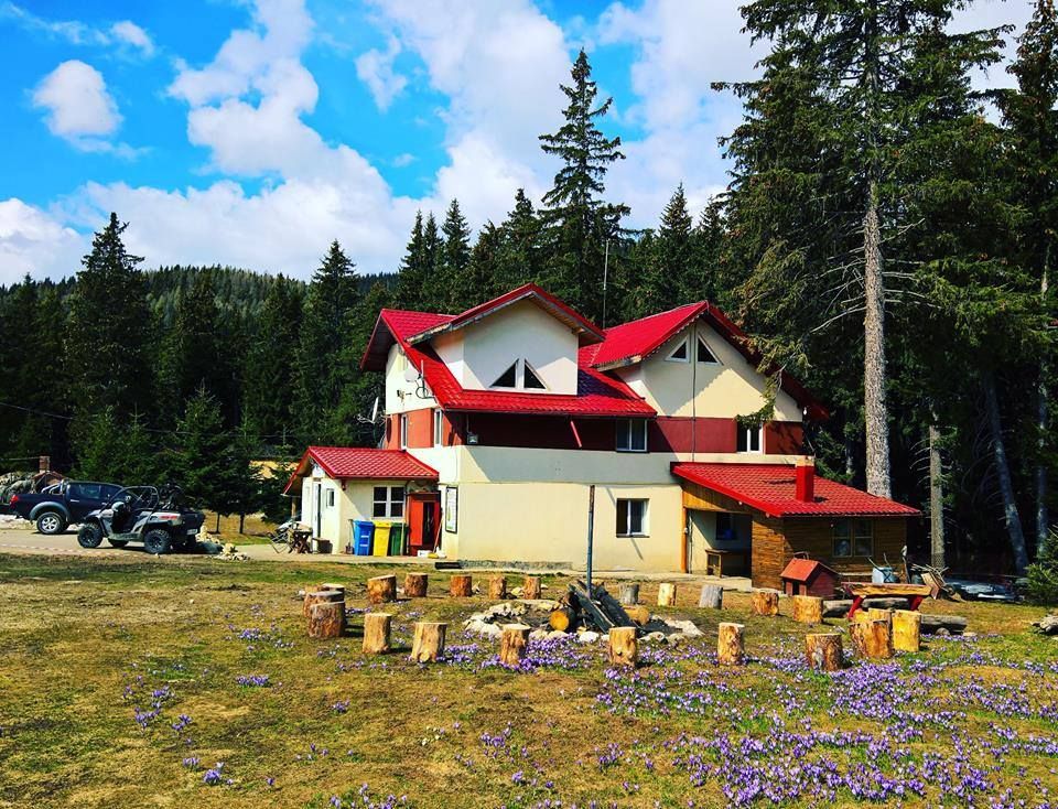 centrul salvamont dambovita 2