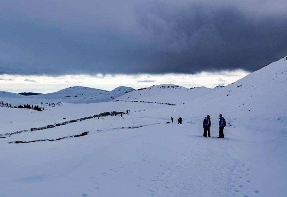Iarna își intră-n drepturi!