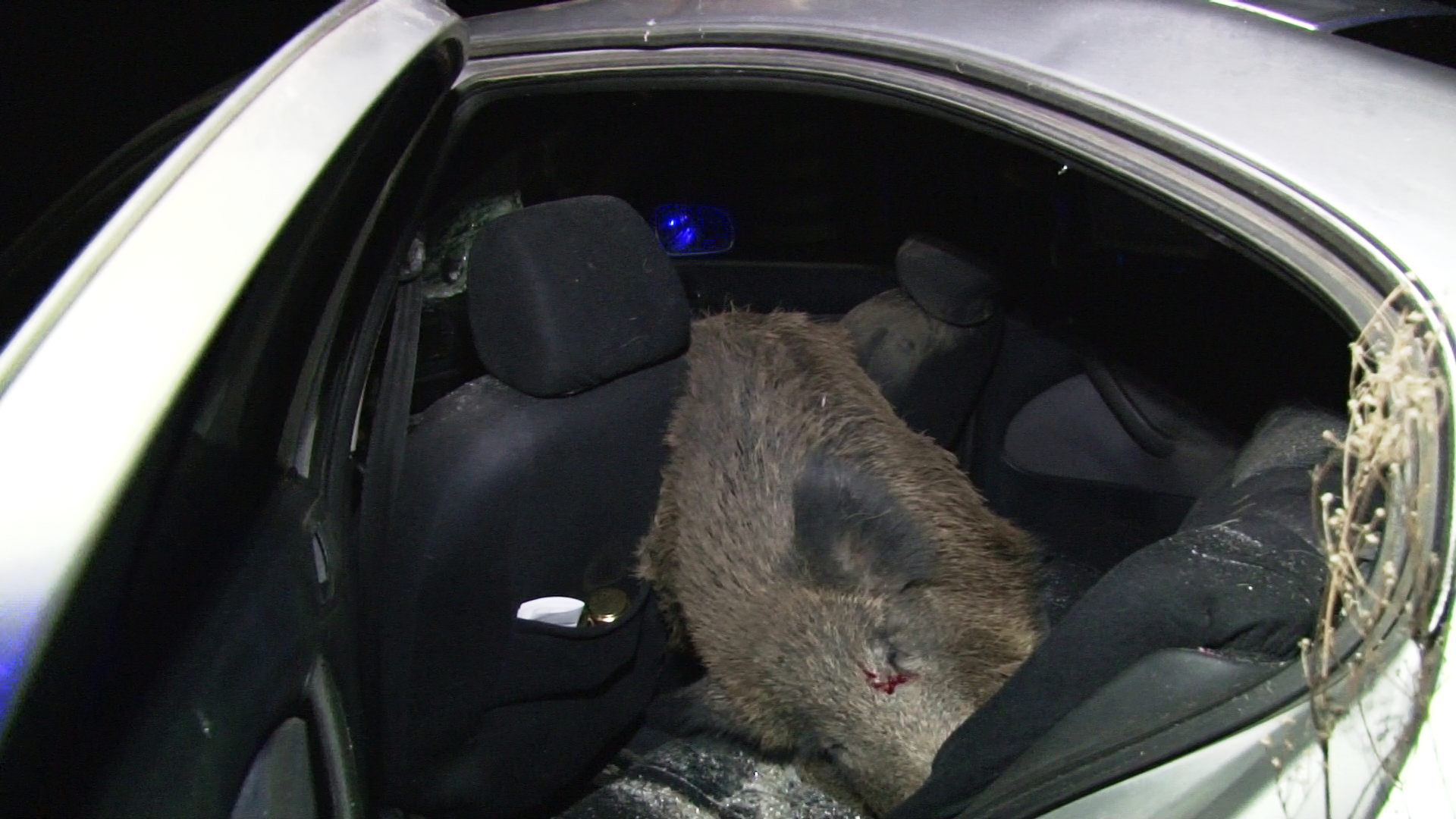 vlcsnap-2019-11-12-07h25m59s708