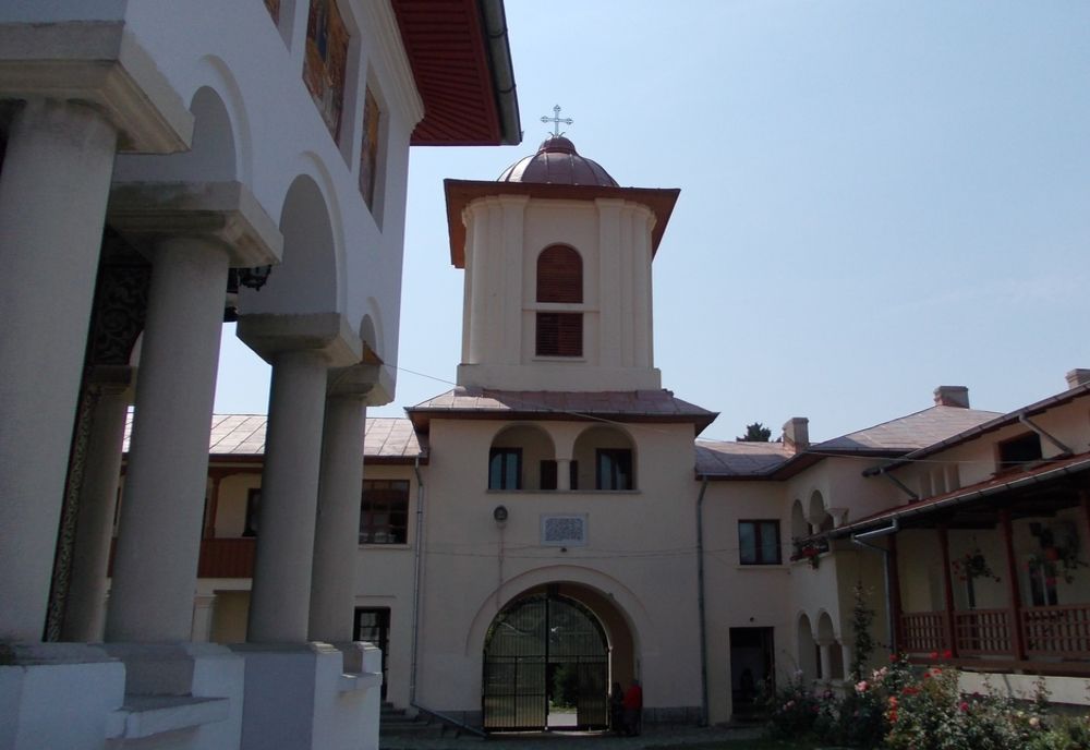 Au fost nevoiți să omoare toți porcii, chiar înainte de Crăciun