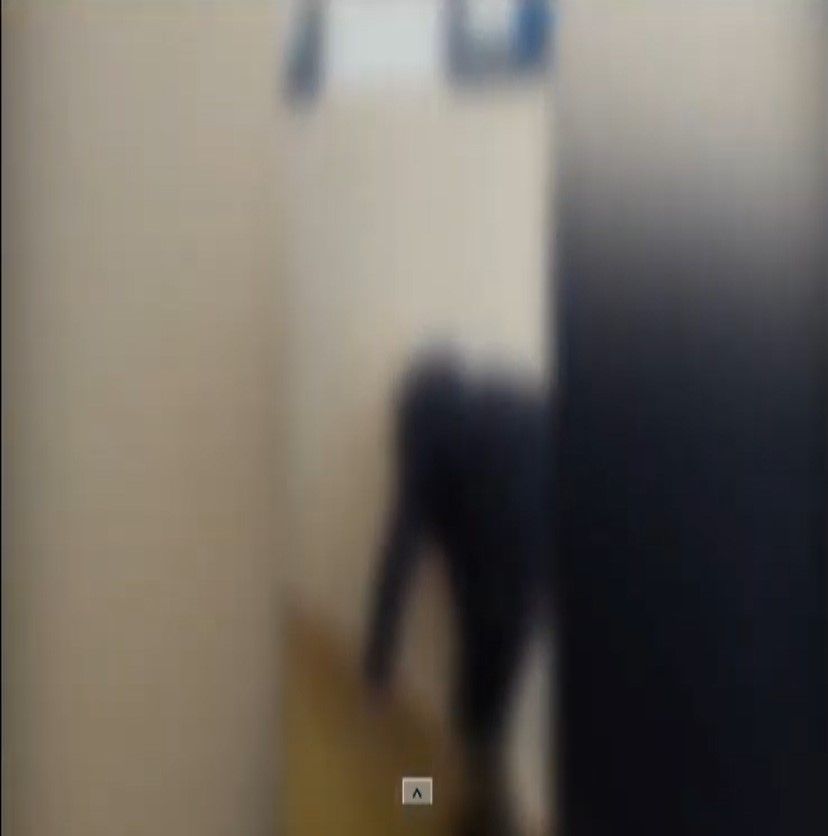 elev liceu targoviste