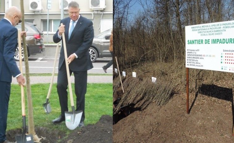 articol realitatea iohannis