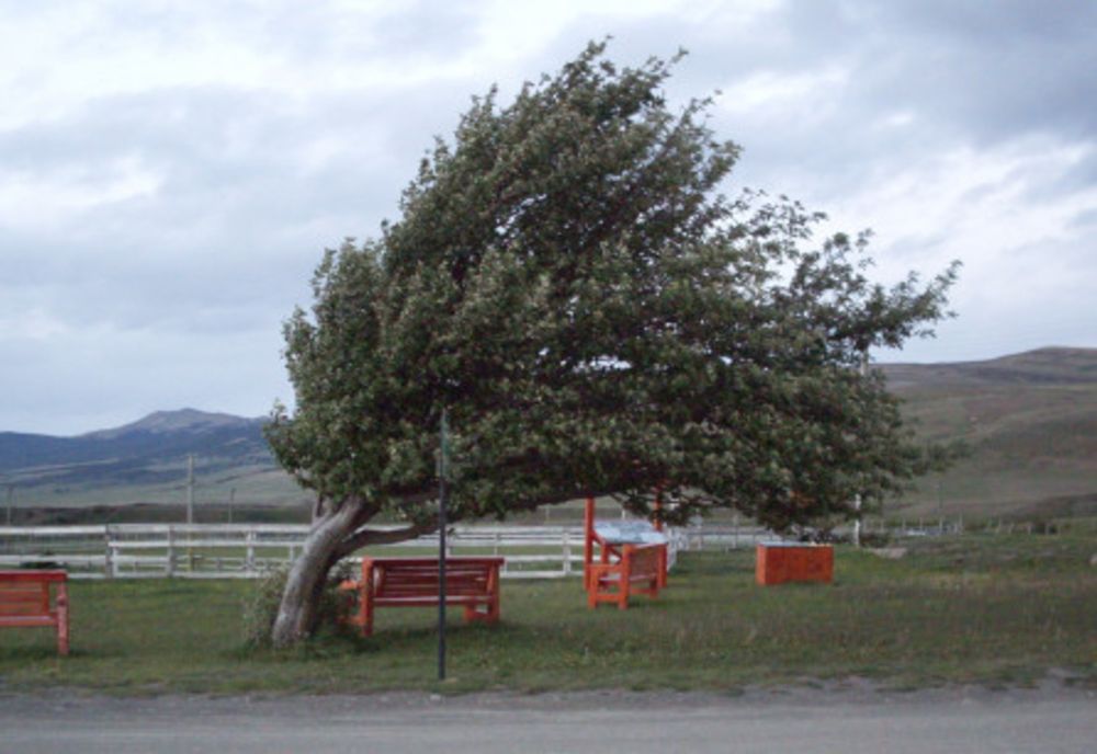 Alertă meteo! Cod galben de vânt și în Dâmbovița, în zonele joase (duminică,15 martie)