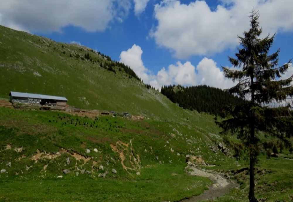 Dâmbovițean găsit decedat în munții Bucegi, după ce plecase cu o turma de animale spre stâna Tătaru