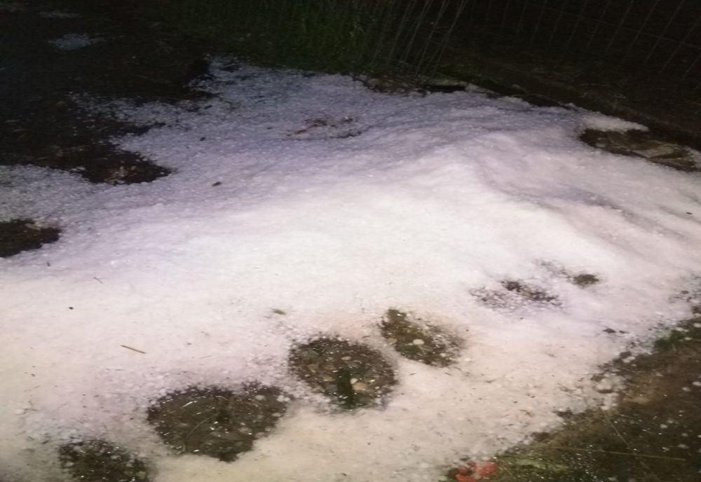 În șase localităti din Dâmbovița sunt pagube importante produse de grindina căzută în data de 20 mai