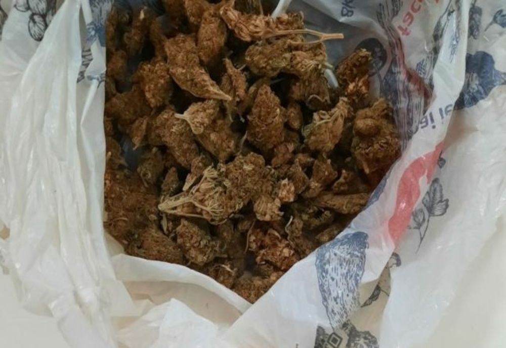 Plantație de cannabis, pe o suprafață de 6 hectare, descoperită în Dâmbovița. Peste o tonă de droguri, confiscate