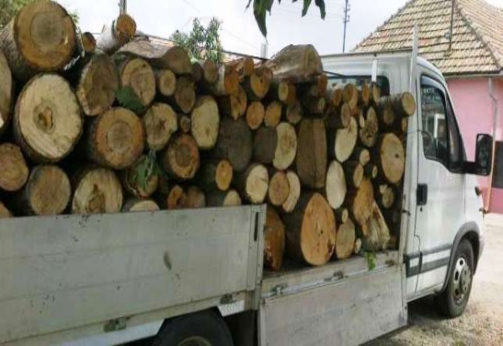 Un bărbat din Dâmbovița transporta lemne ilegal, dar conducea și fără permis și nu avea nici asigurare la mașină