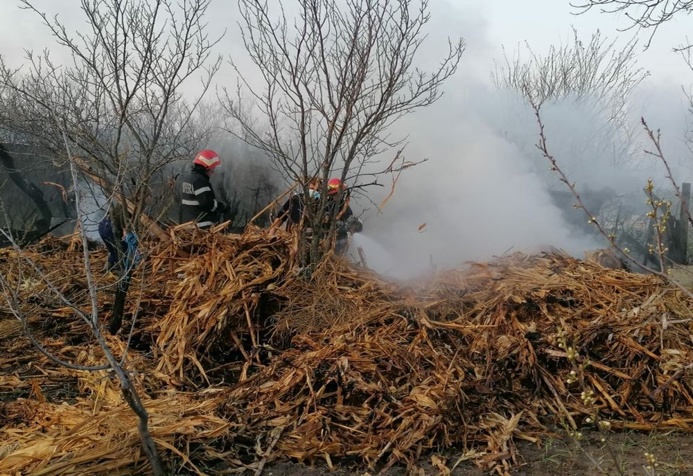 Foc scăpat de sub control, la Fierbinți. 1,5 tone de furaje, făcute scrum