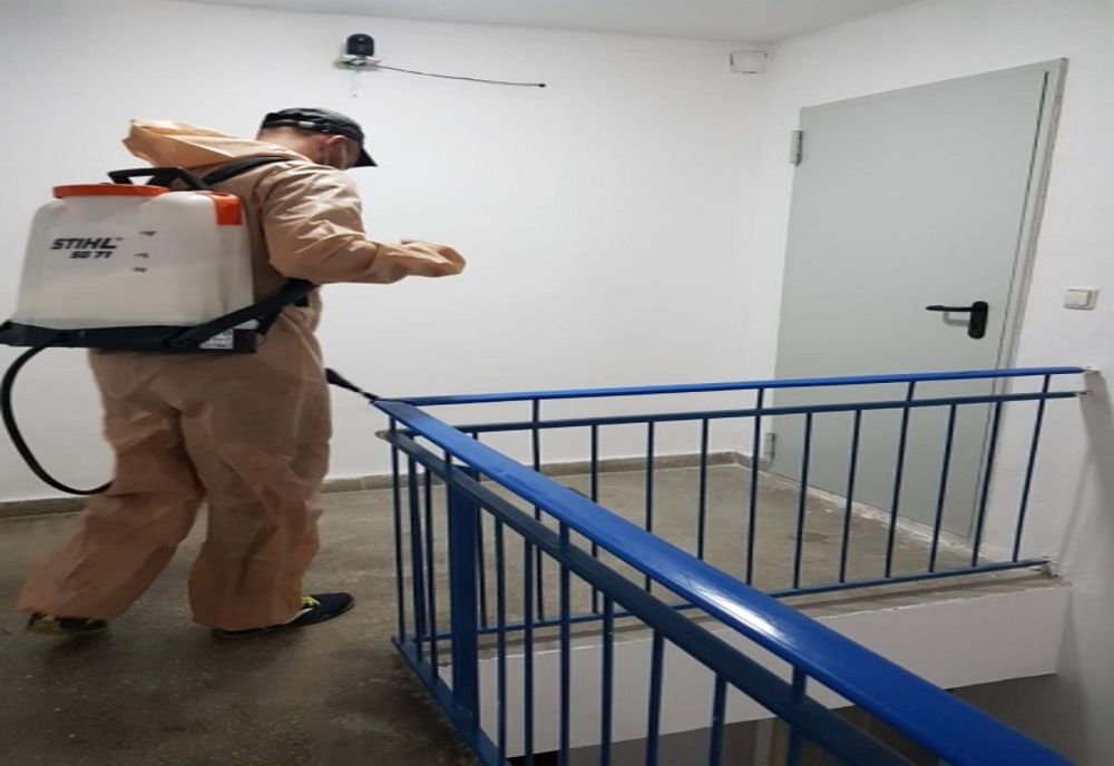 Titu: Au fost desfășurate acțiuni de dezinsecție în toate scările și subsolurile blocurile 