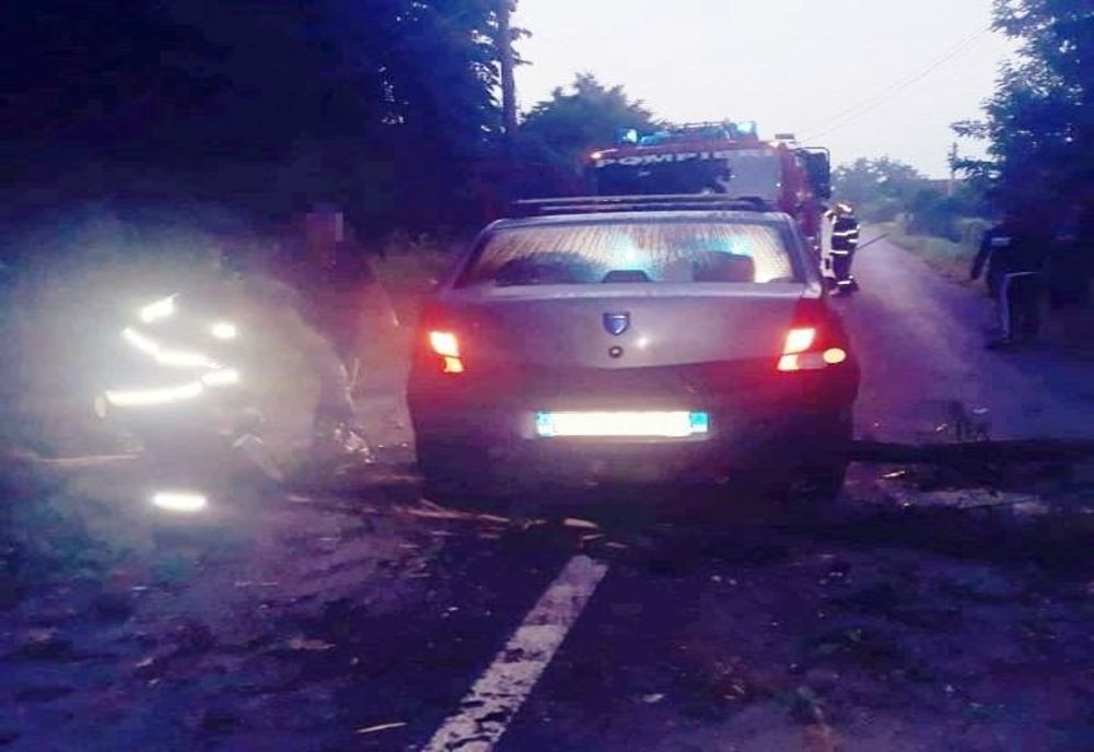 Dâmbovița. Copac căzut pe carosabil la Gura Ocniței. Traficul a fost blocat