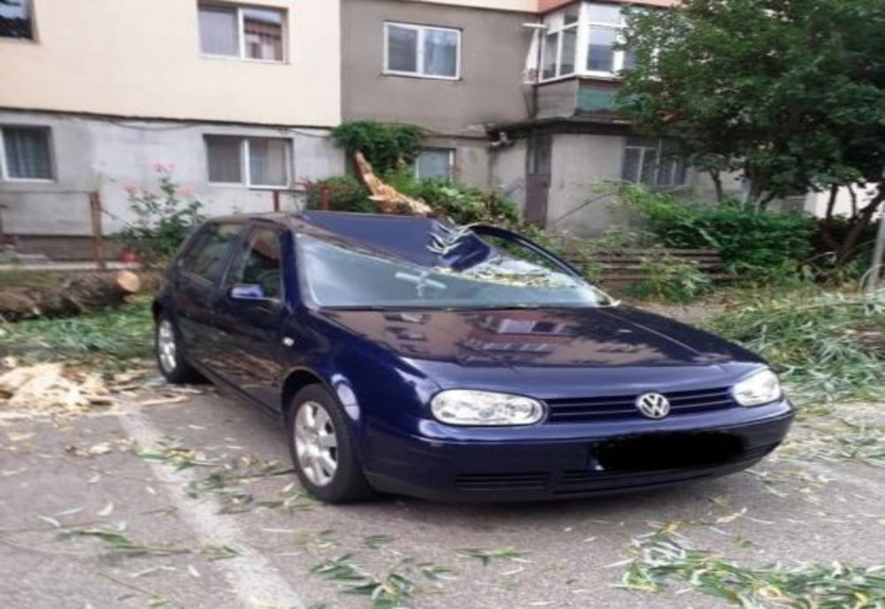 Copac căzut peste o mașină în municipiul Târgoviște