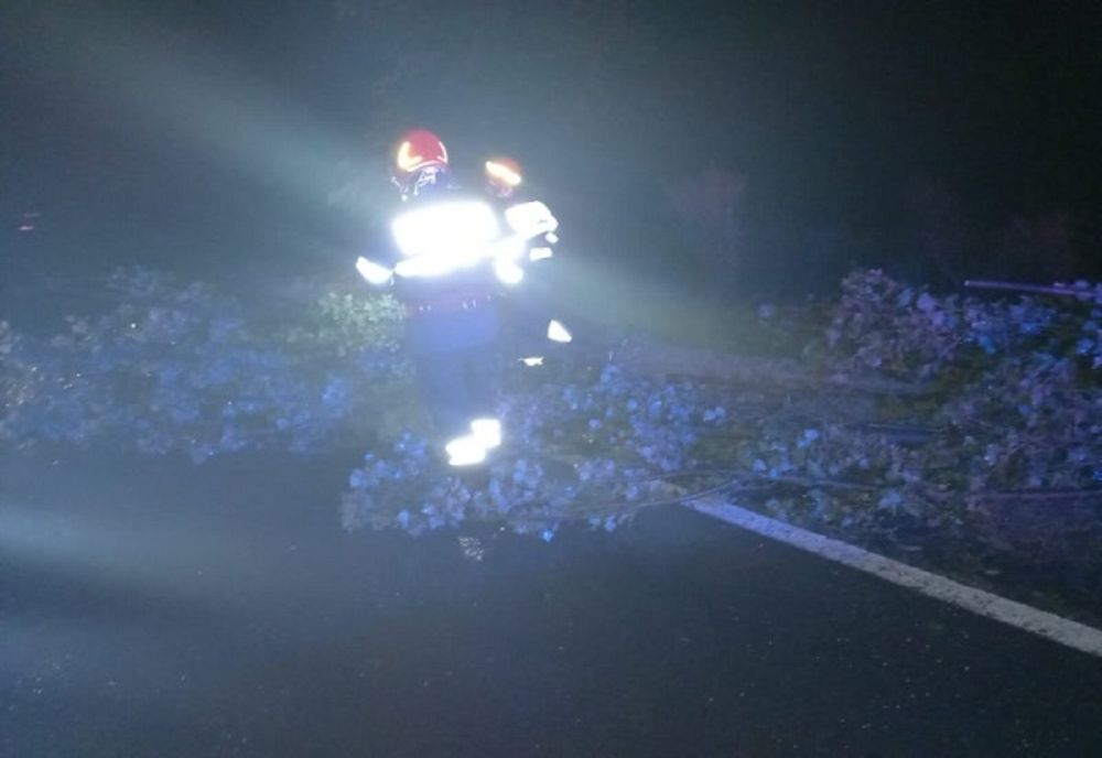 Copaci rupți, căderi de acoperiș și mașini avariate, în Dâmbovița