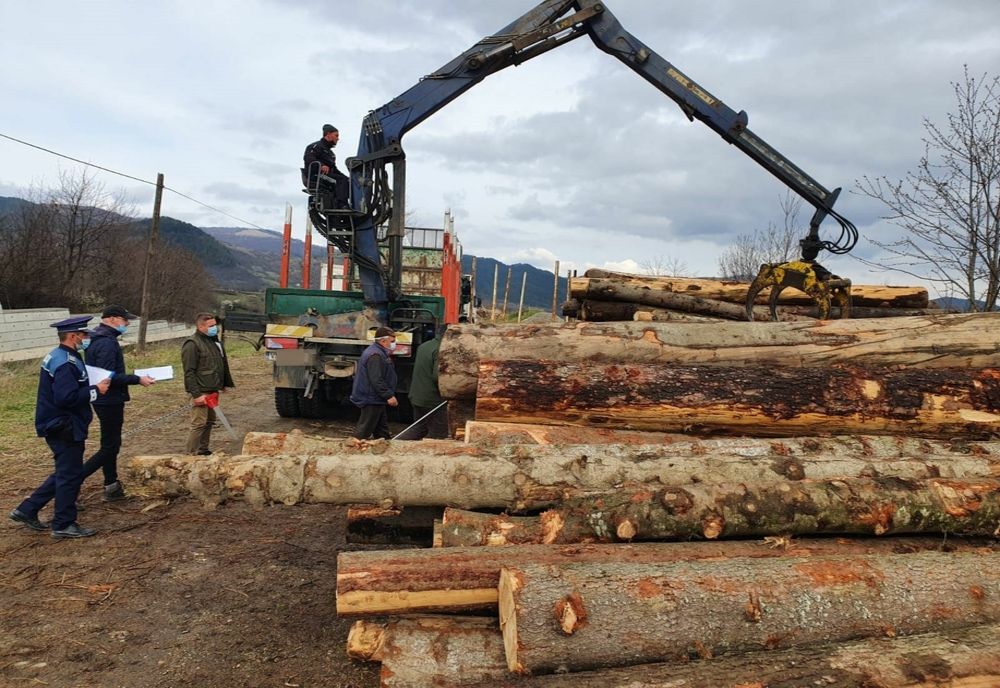 Material lemnos confiscat de poliţiştii din Dâmboviţa în urma unei acţiuni de control