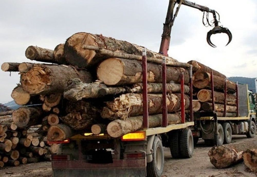 Dâmbovița: Amendați drastic pentru transport de material lemnos fără documente legale