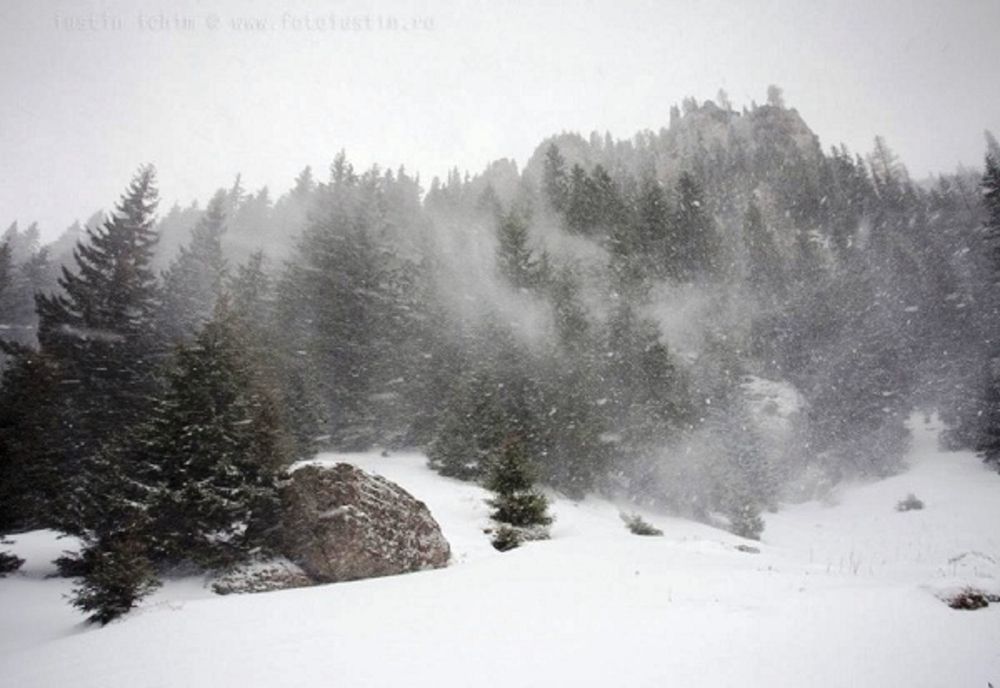 Alertă meteo! Ninsori abundente și vânt puternic, în zona montană a județului Dâmbovița