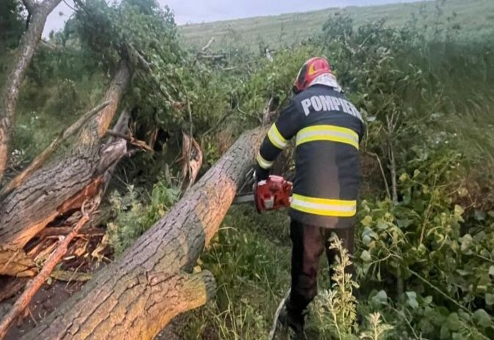 Dâmboviţa. Drumul către Mănăstirea Leaota, blocat din cauza unor copaci căzuți