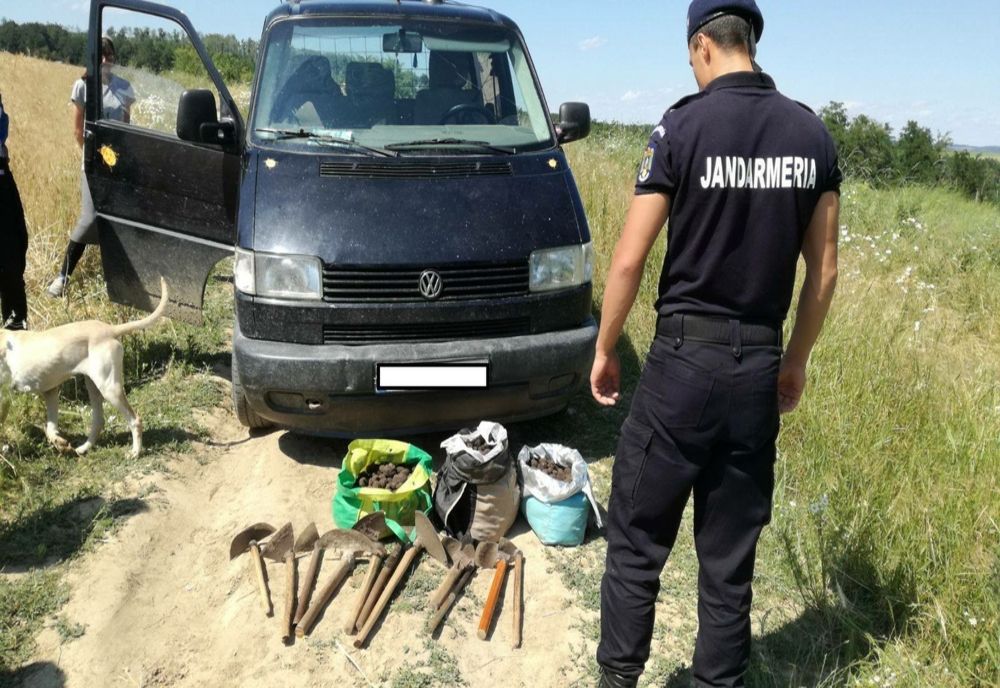 Tânăr din Giurgiu prins de jandarmii dâmboviţeni în timp ce recolta trufe în mod ilegal