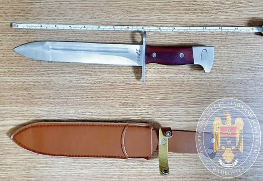 Dâmboviţa. Bărbat, spectator la parada Festivalului BABEL FAST, imobilizat de jandarmi